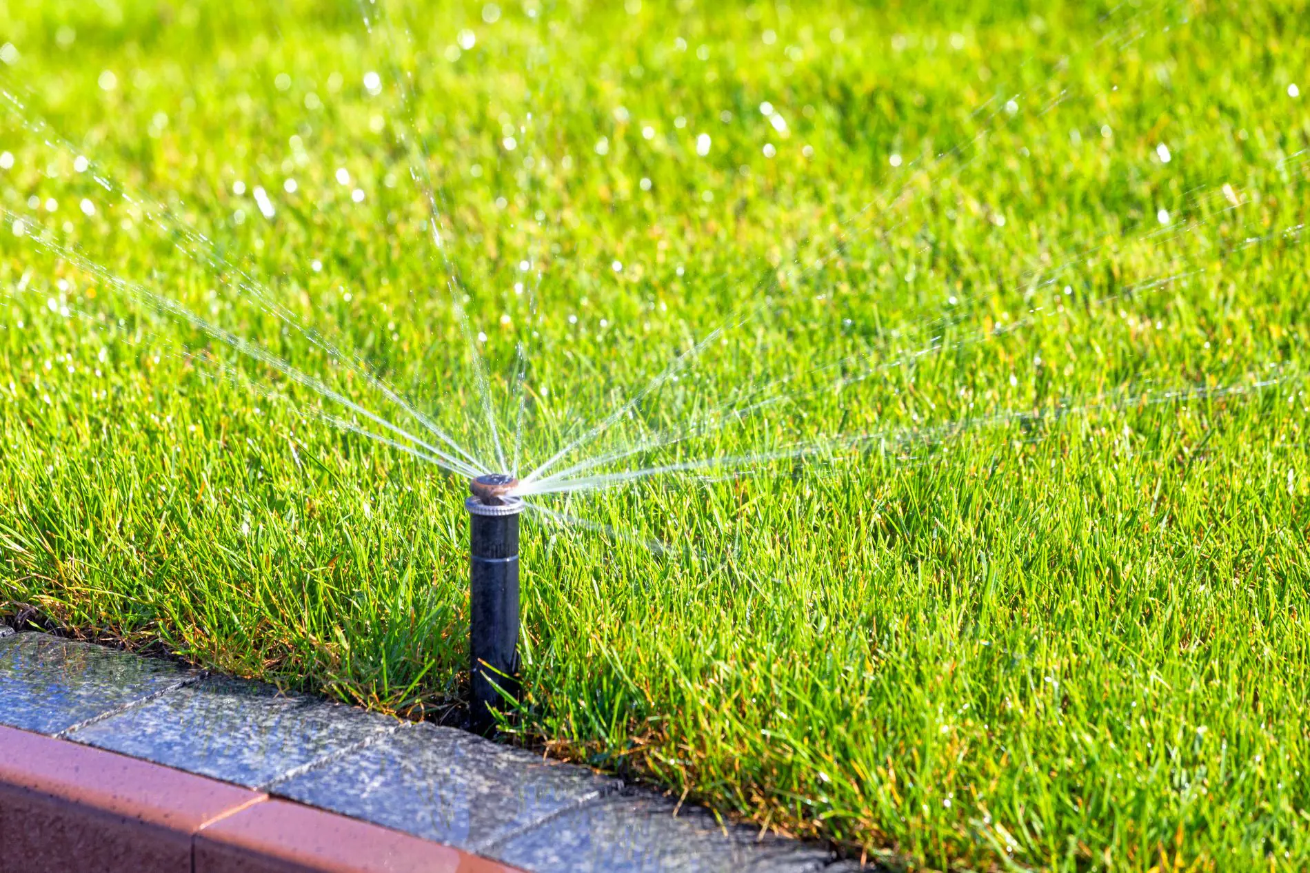 Changing Seasons Landscape & Sprinklers irrigation freeze protection in Pocatello Idaho