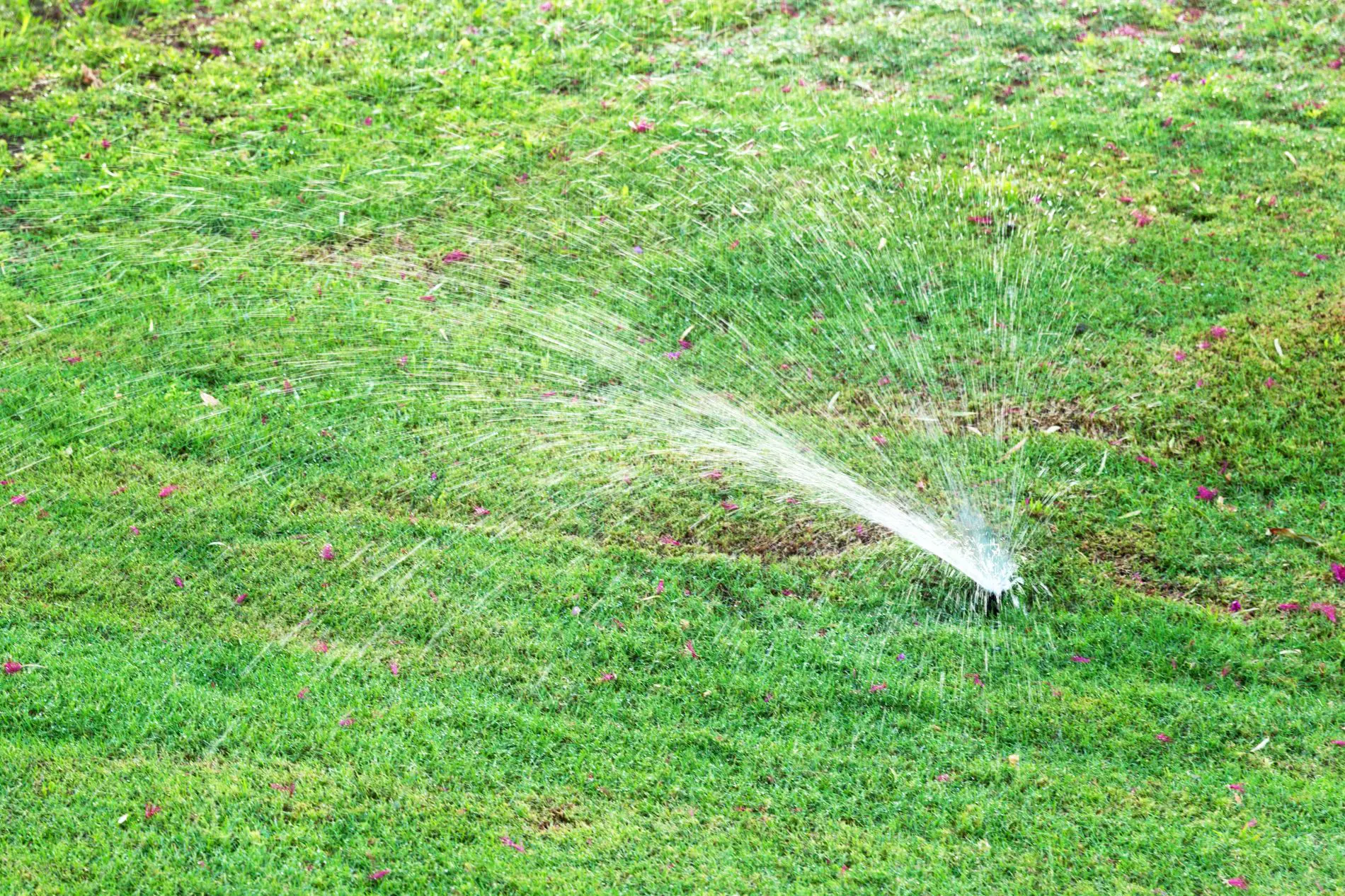 Sprinkler system maintenance and seasonal inspection